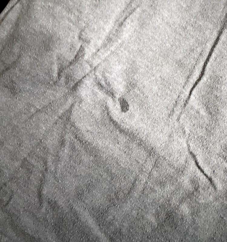 Harley-Davidson Hillbilly Gatlinburg TN Skull Long Sleeve Shirt Adult XXL - Thumbnail 9