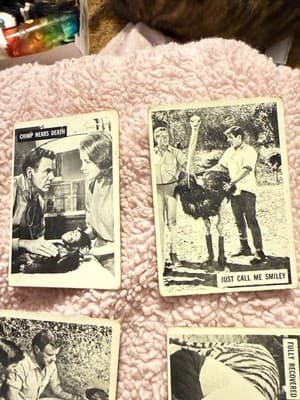 1966 Donruss Daktari TV Show Trading Cards Lot of 11 – Vintage Black & White - Thumbnail 3
