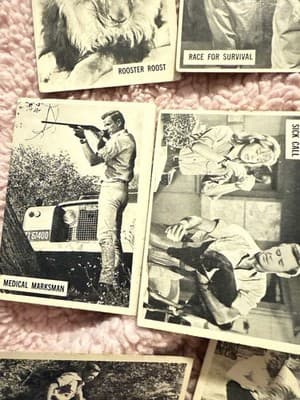 1966 Donruss Daktari TV Show Trading Cards Lot of 11 – Vintage Black & White - Thumbnail 4