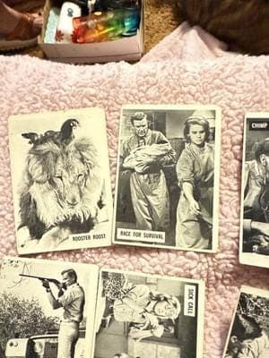 1966 Donruss Daktari TV Show Trading Cards Lot of 11 – Vintage Black & White - Thumbnail 2