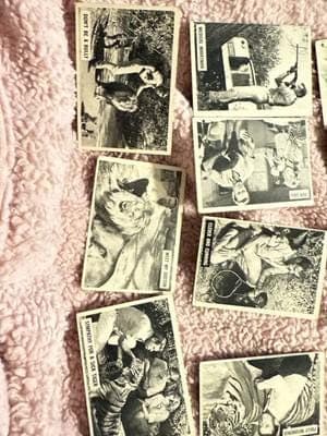 1966 Donruss Daktari TV Show Trading Cards Lot of 11 – Vintage Black & White - Thumbnail 6