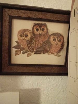 MCM 3 Owls on Branch Art Print Dark Wood Frame Retro Woodland Decor - Thumbnail 2