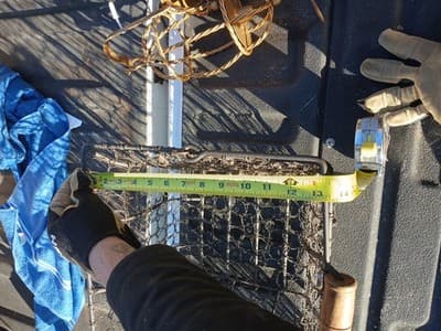 Rustic Large Heavy Wire Farmhouse Basket With Wooden Handles, 16” - Thumbnail 9