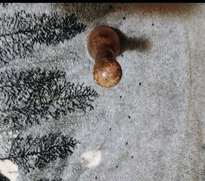 Antique Primitive Wooden Potato Masher 11" Hand Turned Farmhouse Kitchen Tool - Thumbnail 4