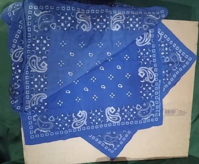 3X, 100% Cotton Blue Paisley Men's Western Bandana Handkerchief RN13960 - Thumbnail 2