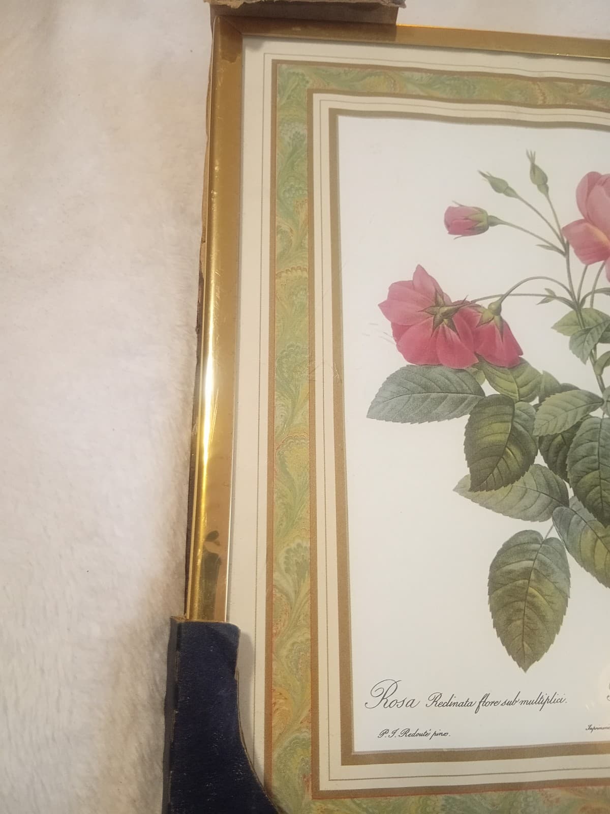 Vintage Redouté "Rosa Reclinata" Botanical Print - 8x10 Framed Rose Art (NOS) - Thumbnail 7