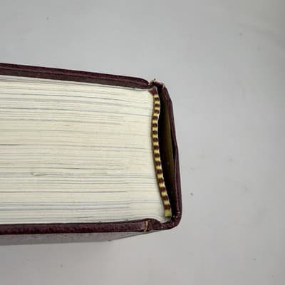 NELSON NUEVO DICCIONARIO ILUSTRADO DE LA BIBLIA - 1998 - Spanish Biblical - Thumbnail 4