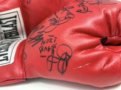 Heavyweight Champions Signatures 2001 Everlast Red Boxing Gloves Size 14 - Thumbnail 3