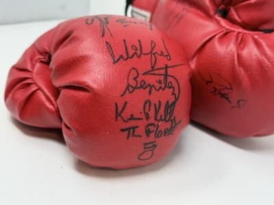 Heavyweight Champions Signatures 2001 Everlast Red Boxing Gloves Size 14 - Thumbnail 2