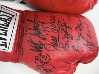 Heavyweight Champions Signatures 2001 Everlast Red Boxing Gloves Size 14 - Thumbnail 4