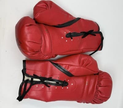 Heavyweight Champions Signatures 2001 Everlast Red Boxing Gloves Size 14 - Thumbnail 6