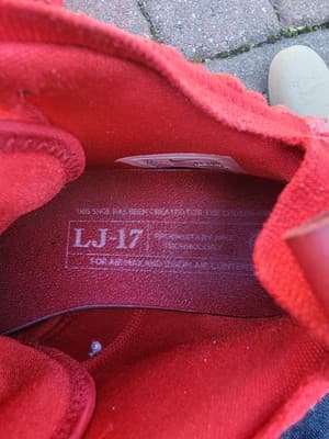 Nike LeBron XVII 17 Basketball Shoes | Red Carpet | Size 7Y Jordan - Thumbnail 7