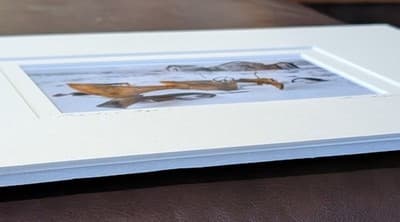 Framed Ghost Town 1937 Chevy Infrared Art Elaine Morgan Signed Photo "Bodie Car - Thumbnail 7