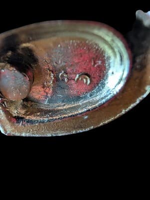 ​[SET OF 36] Vintage French Provincial 3" Ceramic & Brass Cabinet Pulls - Thumbnail 12