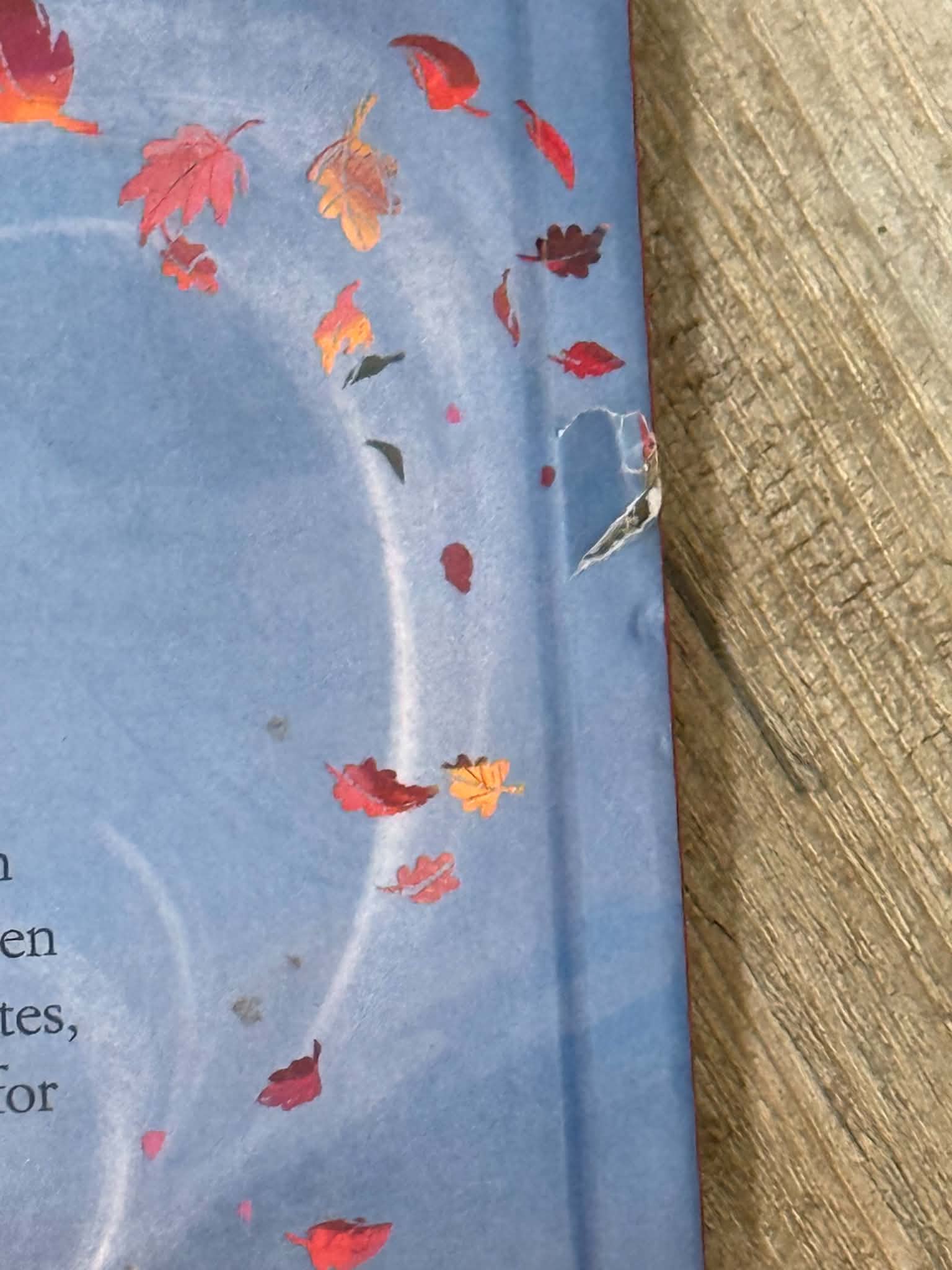 Frozen II: Journey to the Mountain - Thumbnail 5