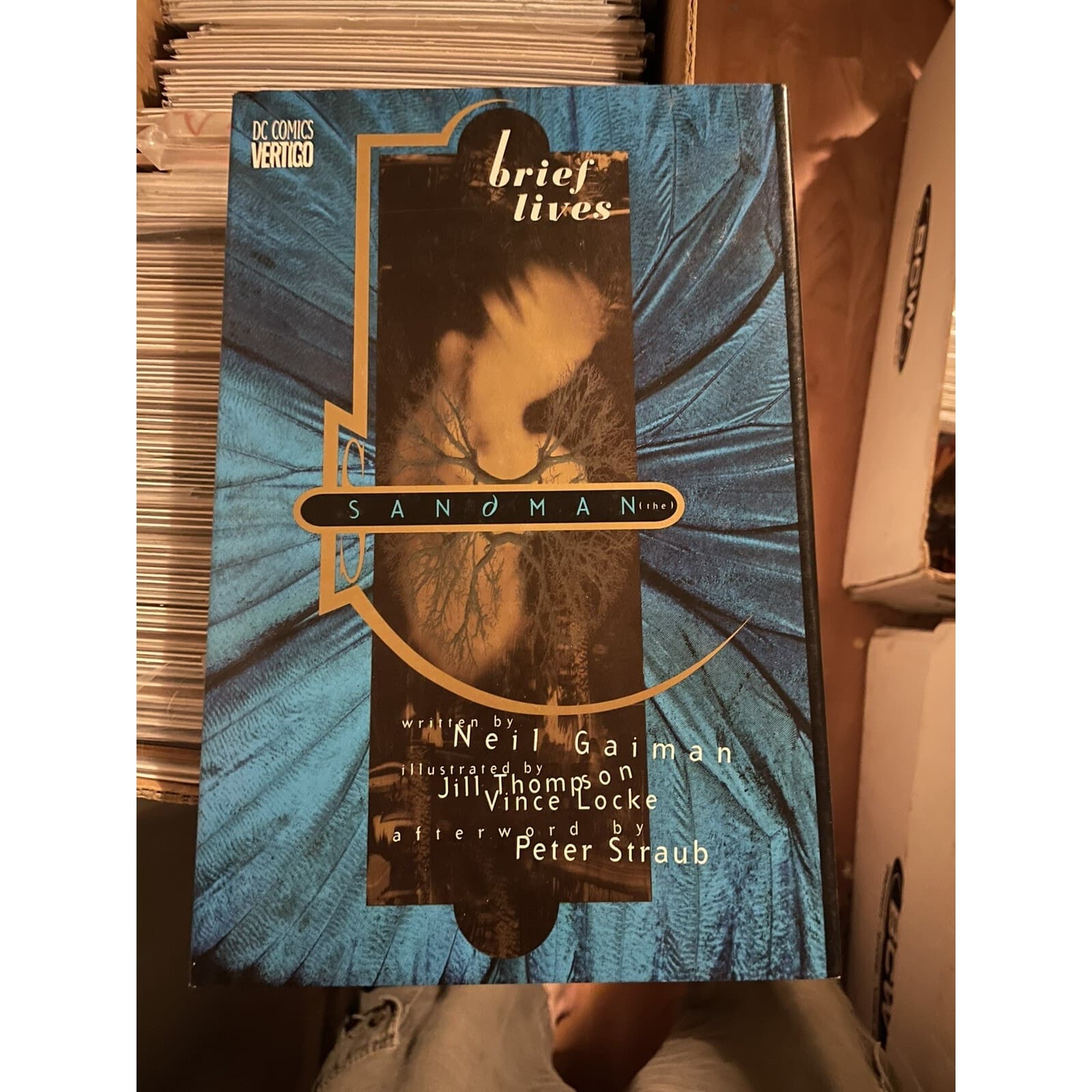 Sandman by Neil Gaiman Brief Lives & A Game Of You Hardcovers (1993 & 1994 DC) - Thumbnail 4