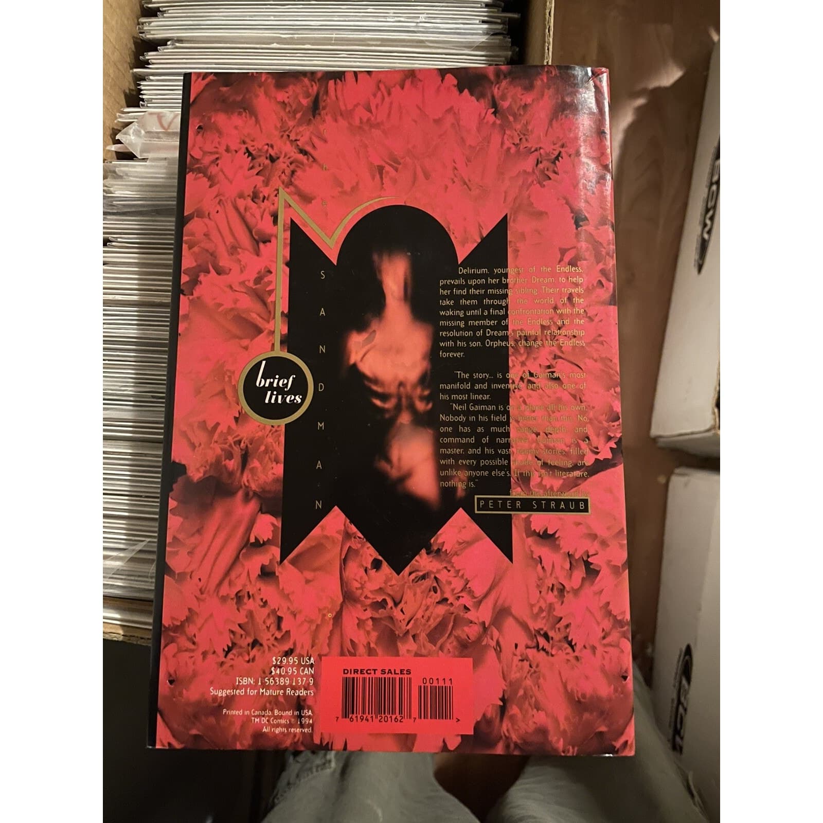 Sandman by Neil Gaiman Brief Lives & A Game Of You Hardcovers (1993 & 1994 DC) - Thumbnail 5