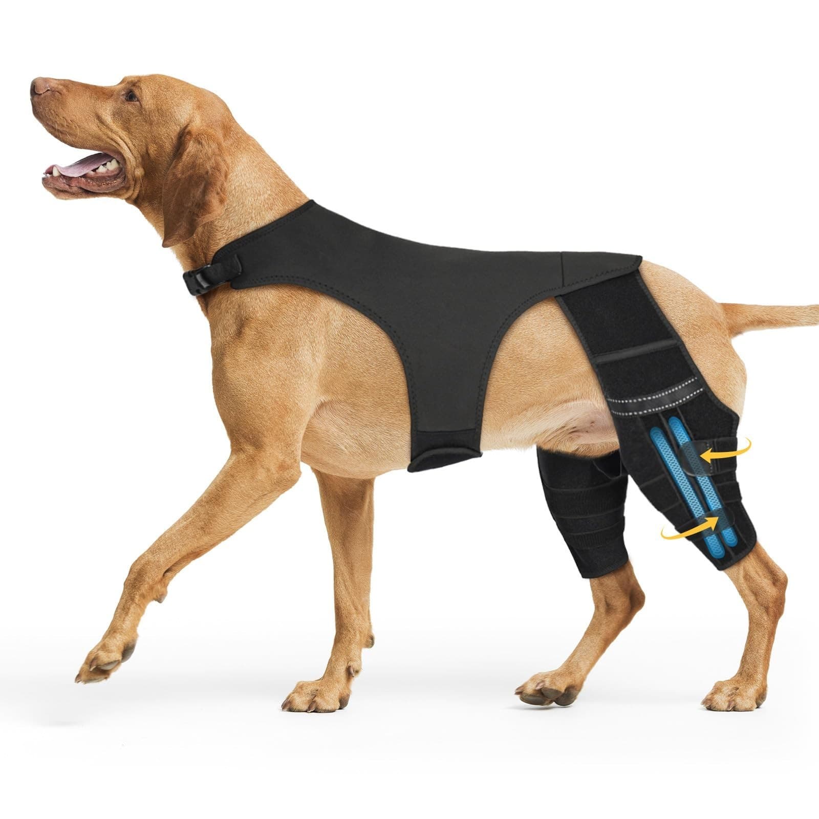 Marnonsis Dog Knee Brace for Torn Acl Hind Leg, 4 Stabilizers Dog Leg Braces for - Image 1