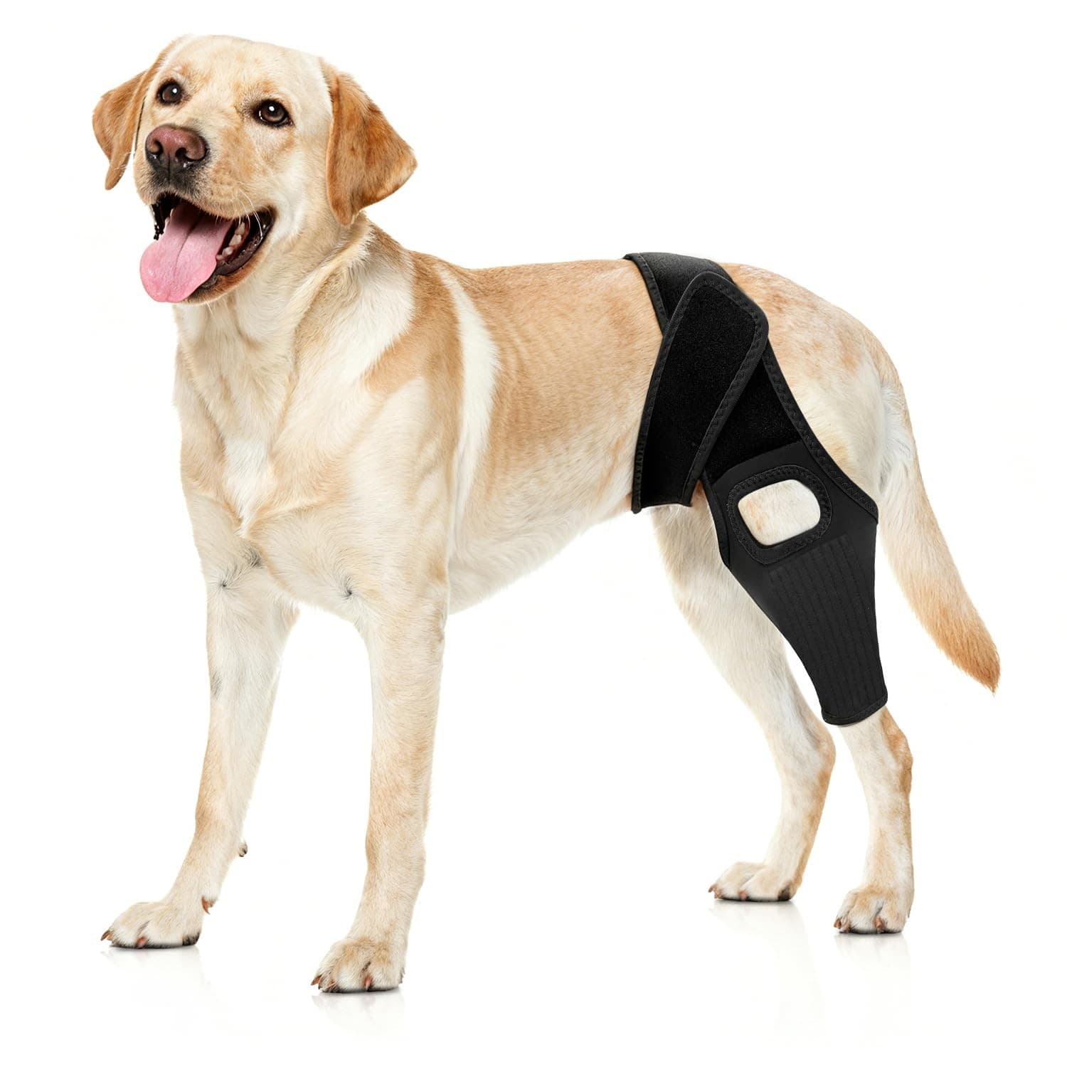 Jorme Dog Knee Brace for Torn ACL, Dog Leg Brace for Post-Surgery Recovery, Arth - Image 1