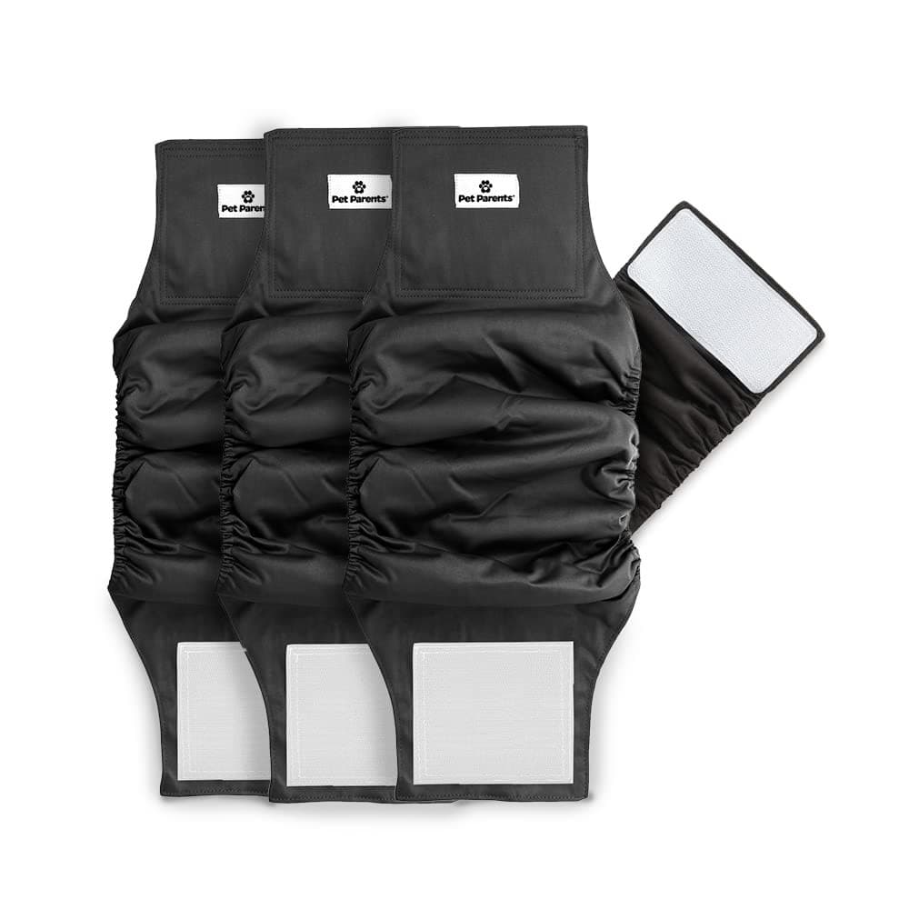 Pet Parents Premium Washable Belly Bands for Male Dogs & Extendrs - Image 1