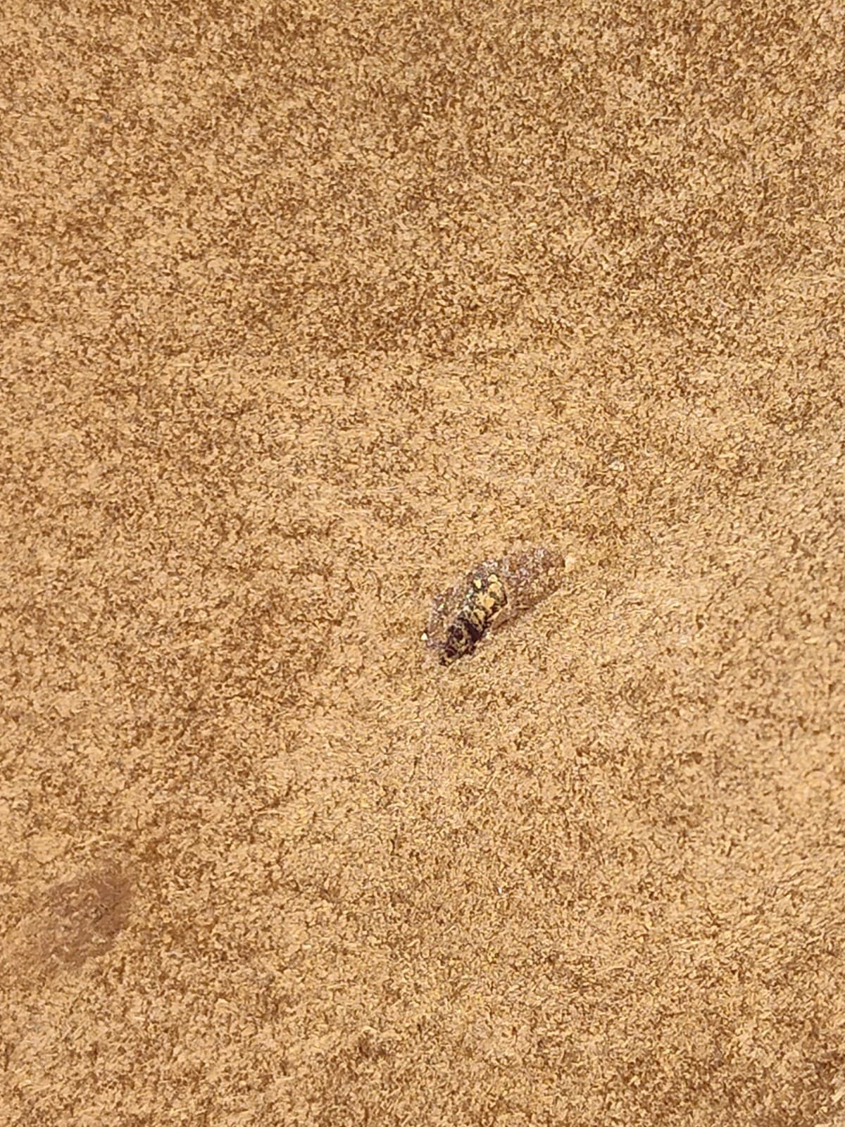 Jacqueline Ferrar brown Suede Jacket size 2XL - Thumbnail 13