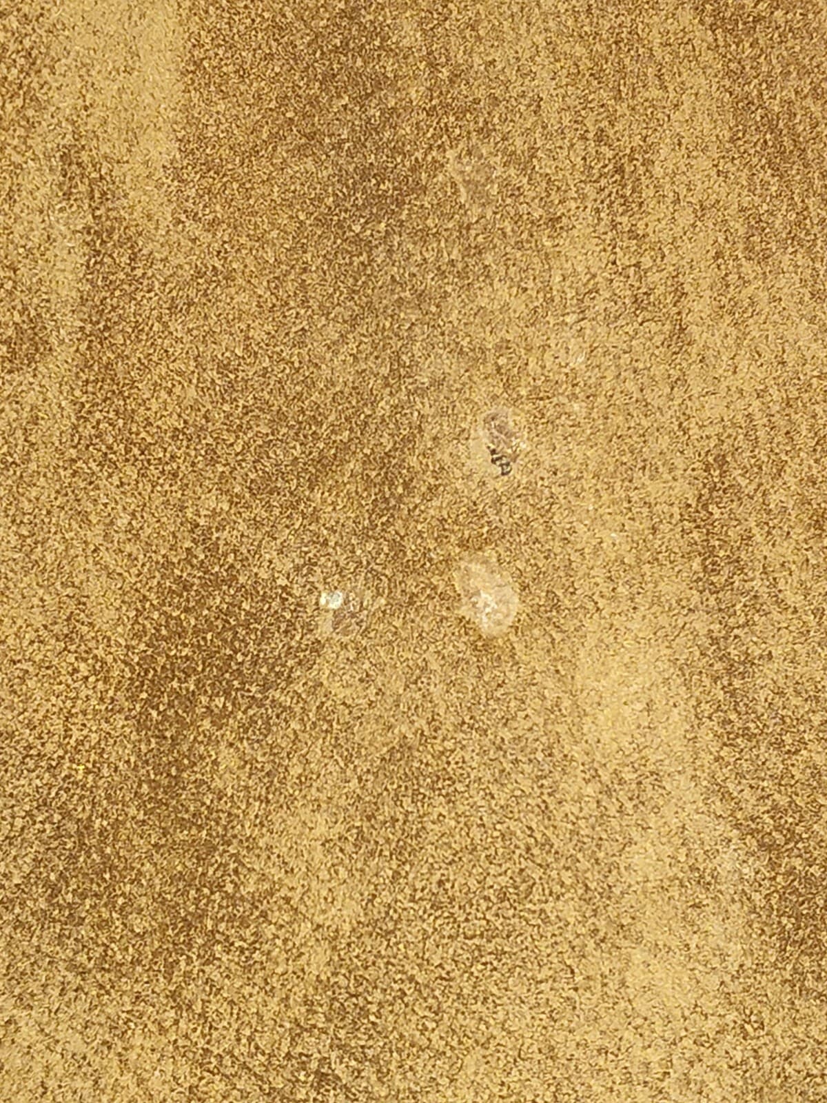 Jacqueline Ferrar brown Suede Jacket size 2XL - Thumbnail 12