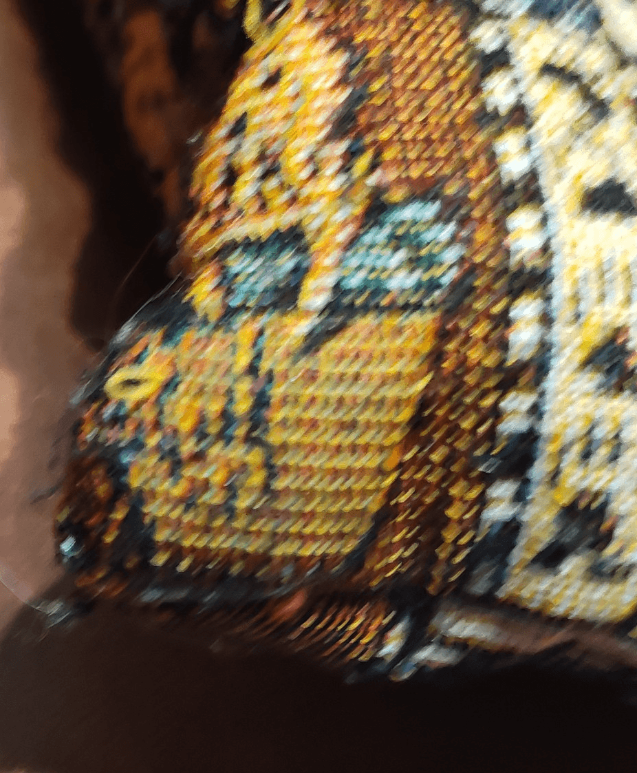 Vtg Cat Tapestry Satchel Friendly Felines Tote - Thumbnail 5