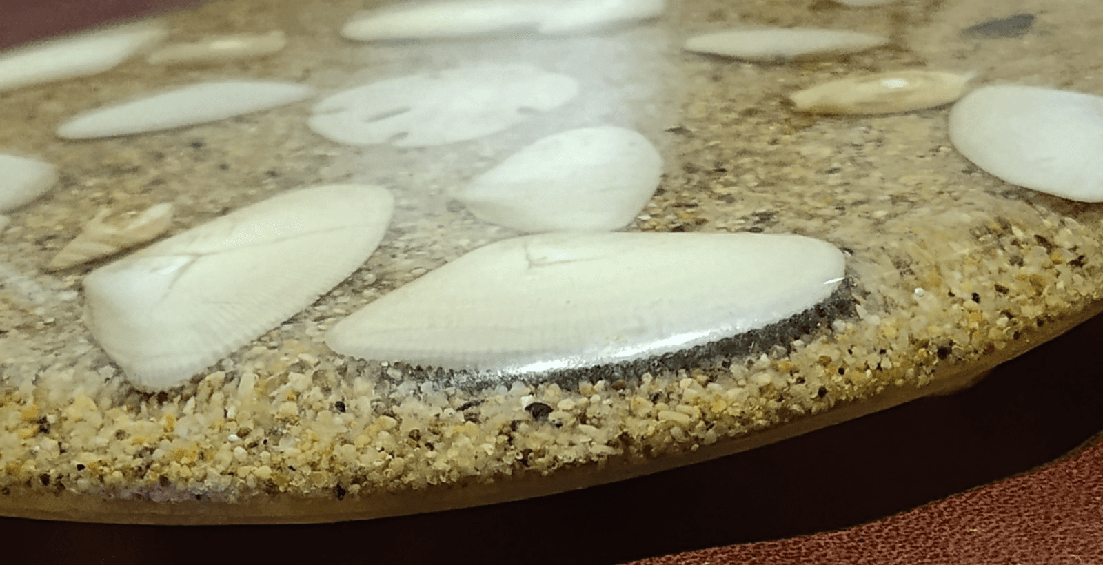 Acrylic Lucite Resin Seashell Trivet 7” - Thumbnail 3