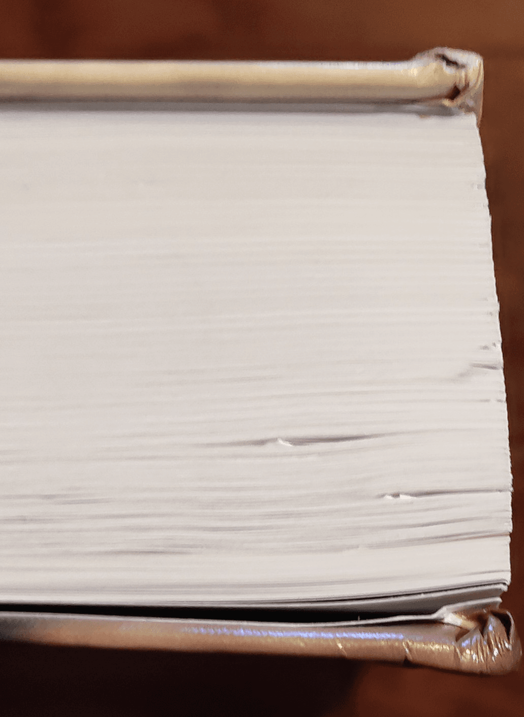 2010 LOUISIANA STATE UNIVERSITY ALUMNI DIRECTORY - BATON ROUGE, LA - YB 2685 - Thumbnail 3