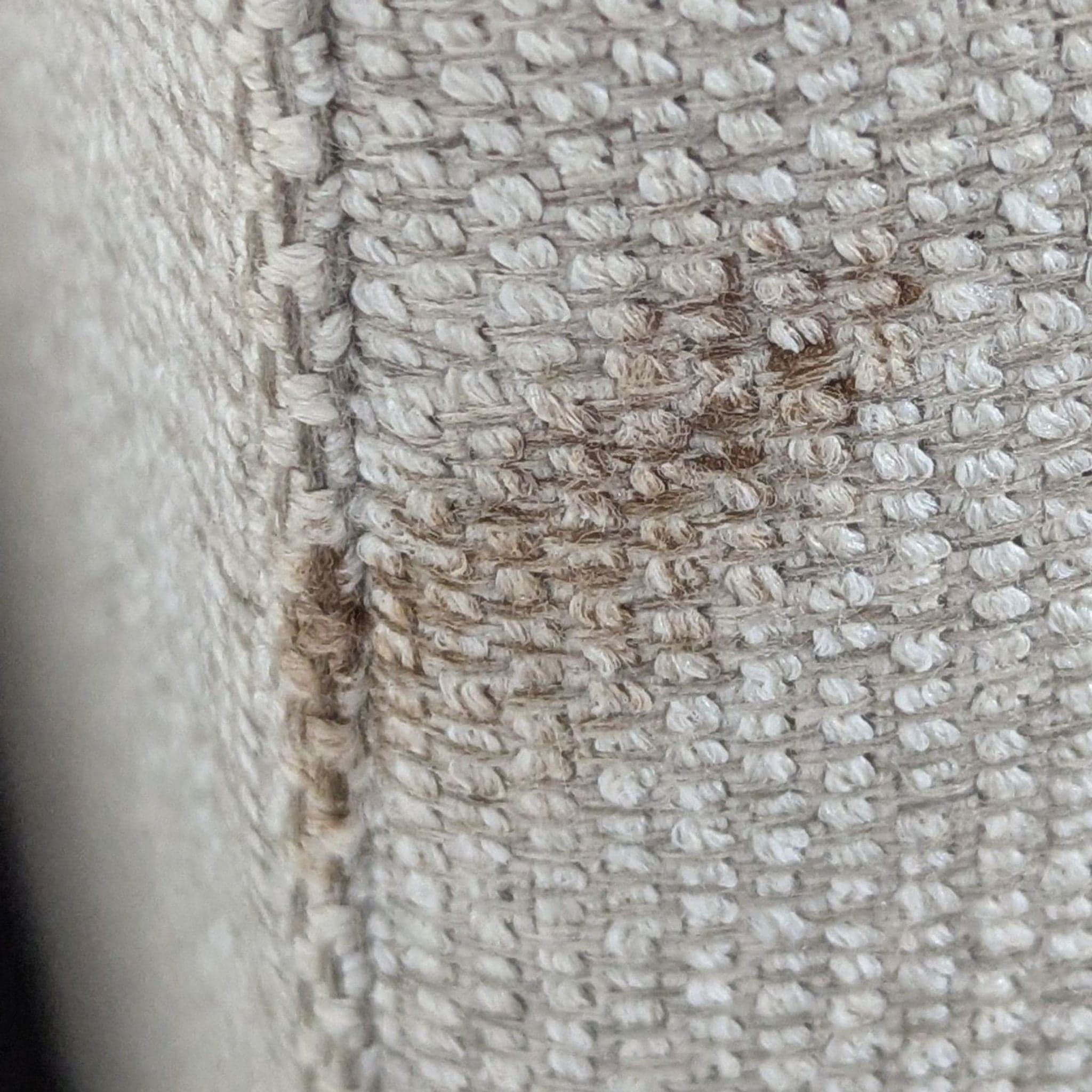 Crate & Barrel Lounge Modern 3-Seat Sofa - Thumbnail 5