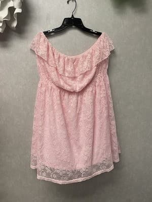 Derek Heart Plus Pink Lace Coverup/Tube Dress Size 2X - Image 1