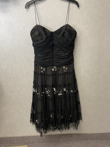 BCBG Max Azria Black/Silver embroidered tulle, vintage style Dress Sz Med - Image 1