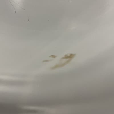 Vintage *Floral Bouquet* Corning Ware 6 Cup Coffee/Tea Pot w/out Lid - Thumbnail 7