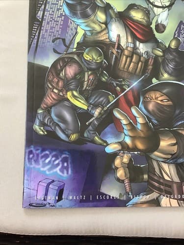 TMNT LAST RONIN II RE EVOLUTION #1 (2024 IDW) SAJAD SHAH EXCLUSIVE VARIANT - Thumbnail 9