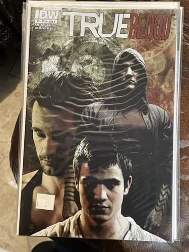 Lots Of 7 True Blood #1 - 5, 12, 14 CVR A (2012 IDW) - Thumbnail 6