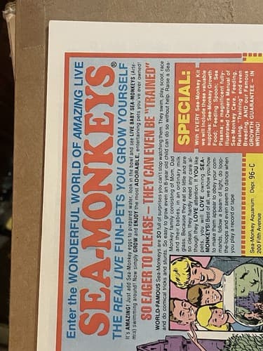 Flash Gordon #23 (1979 Gold Key) - The Game of Death! - Thumbnail 10