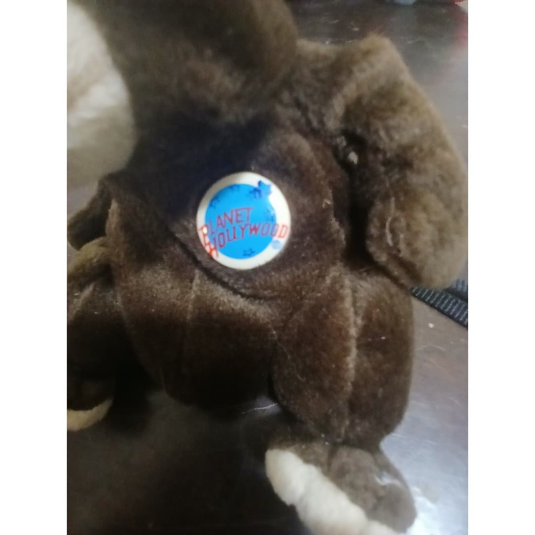 Planet Hollywood Cosmo Bear Vintage nwt - Thumbnail 2