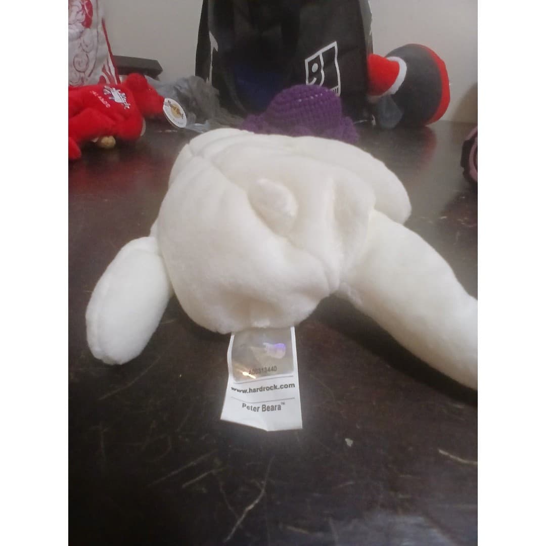 Hard Rock Cafe St. Thomas Peter Beara bear vintage - Thumbnail 8