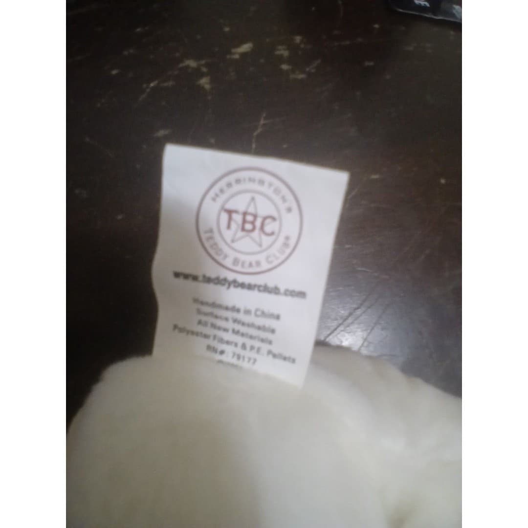 Hard Rock Cafe St. Thomas Peter Beara bear vintage - Thumbnail 10