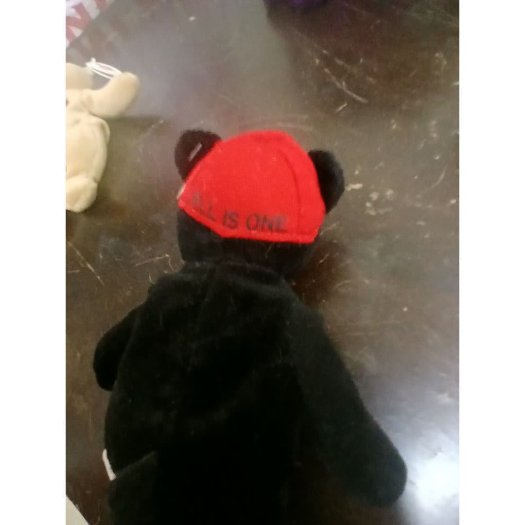 Hard Rock Cafe Charlie Beara Gatlinburg 2001 vintage plush bear - Thumbnail 6