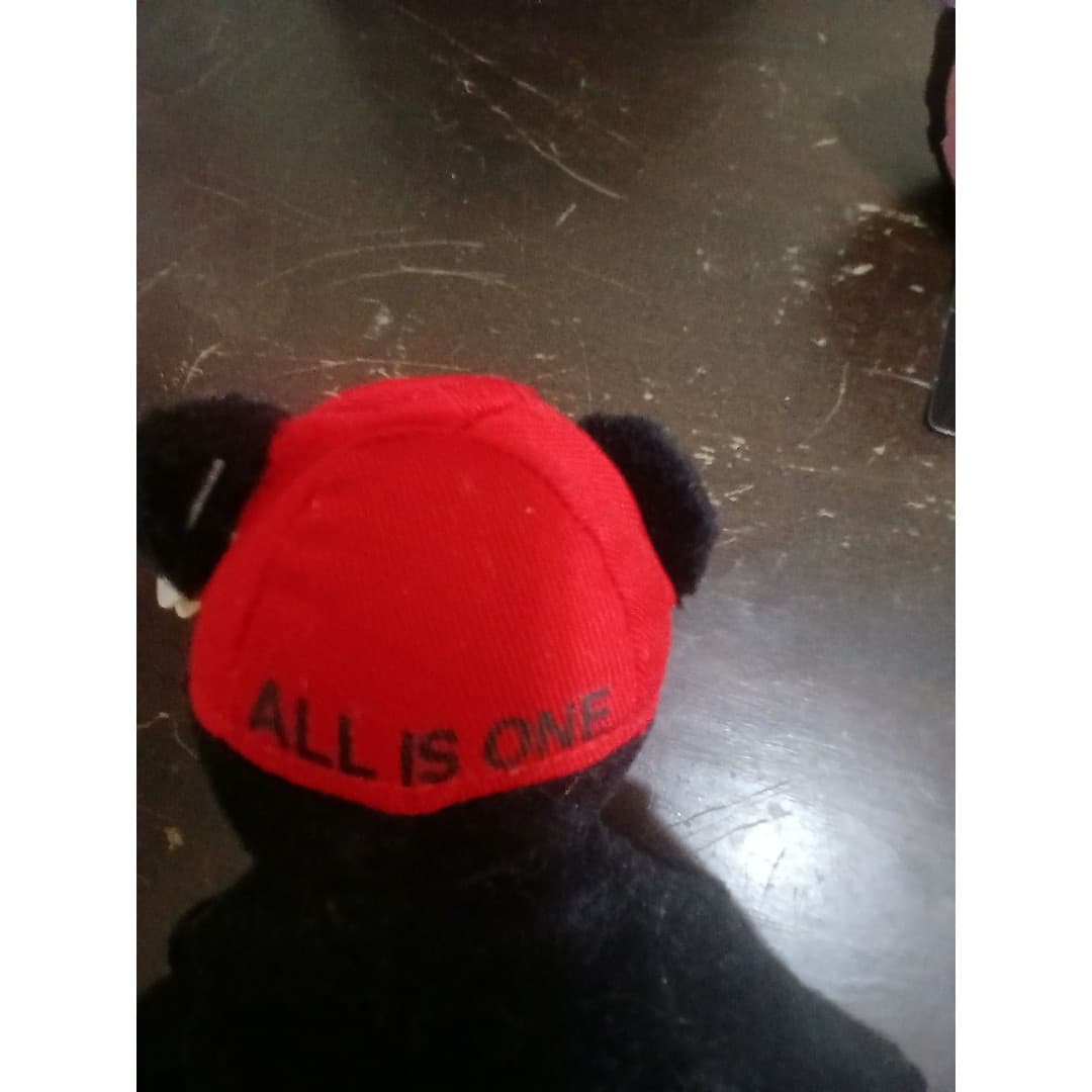 Hard Rock Cafe Charlie Beara Gatlinburg 2001 vintage plush bear - Thumbnail 7