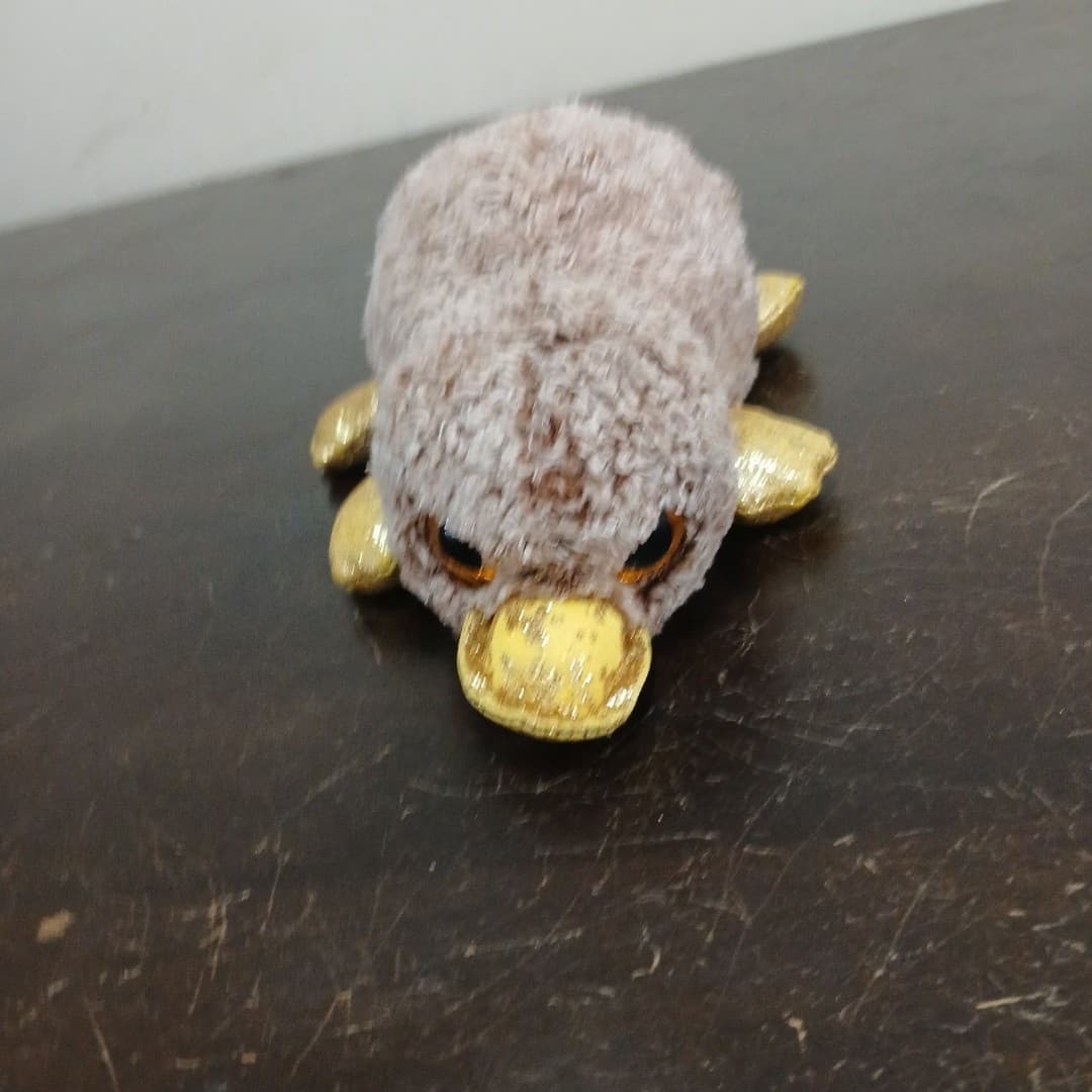 Ty Beanie Boos Perry the Platypus - Thumbnail 6