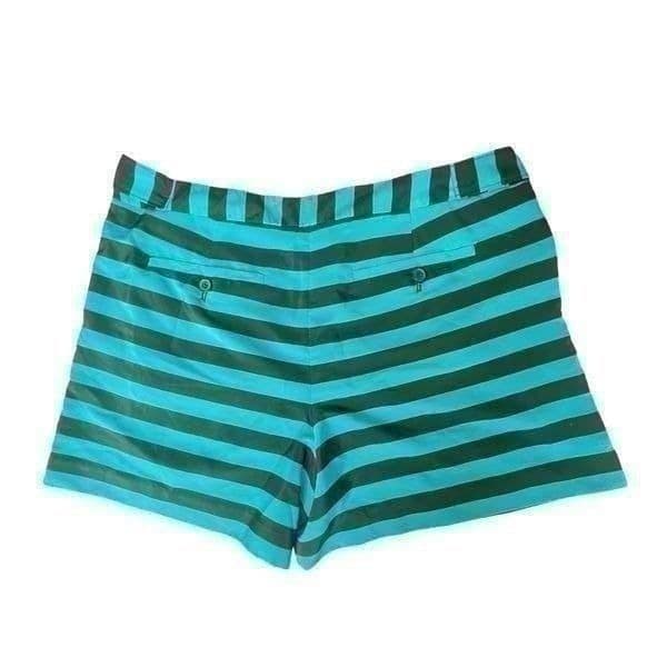 Ann Taylor LOFT Blue Striped Shorts Size 8 - Thumbnail 2
