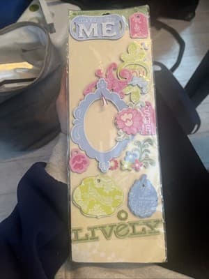 K&Company Amy Butler Belle Adhesive Chipboard Shapes Scrapbooking Stickers - Image 1