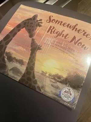 Somewhere Right Now Kerry Docherty Suzie Mason Illustrator Pb Book - Image 1