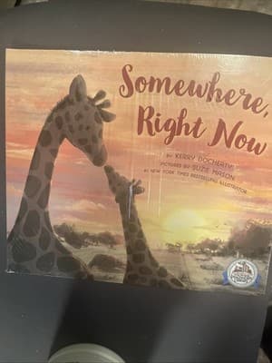 Somewhere Right Now Kerry Docherty Suzie Mason Illustrator Pb Book - Thumbnail 2