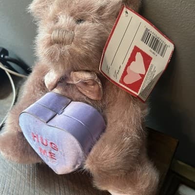 Brown Plush Teddy Bear Pink Now And Purple Hug Me Box You Can Open To Add Item - Thumbnail 2