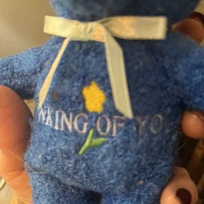 Occasion Bear Blue Plush White Now Thinking Of You NWT - Thumbnail 4