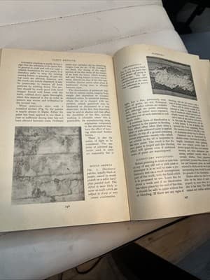 Practical Home Decorating And Repairs Illustrated Book By Odhams - Thumbnail 4