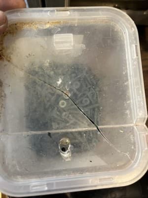 NEW 1-1/4 in Serrated Flat Head Star Drive Backer-On Screws 750pk. 23406 - Thumbnail 6